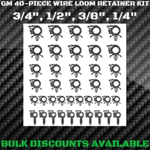 1997+ Cadillac Catera Interior Engine Harness Wire Loom Clip Clamp Retainer KIT - Picture 1 of 3