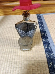 LANDY DESIR Woman-shaped Bottle Empty Bottle - Picture 1 of 6