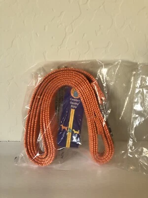 Single 5/8th in Thick Nylon Lead. 6 foot long - Mango - Image 1 of 2