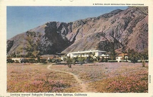 1940s Palm Springs California Tahquitz Canyon Stephen Willard Postcard 24-11726 - Picture 1 of 2