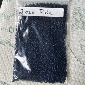 VINTAGE 1950'S - NAVY  BLUE  2 OZS -Hawaiian Rice Shells - Craft - Picture 1 of 3