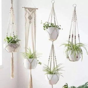 Canasta de yute verde planta colgante cuerda de algodón maceta hecha a mano macramé - Imagen 1 de 48