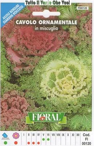 CAVOLO ORNAMENTALE - AIUOLE BORDURE ROCCIOSI-FLORAL - BUSTA SEMENTI - Picture 1 of 1