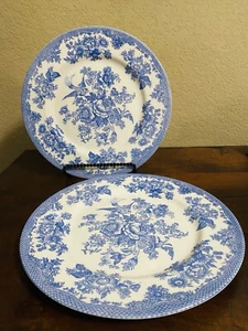 (2) Royal Stafford Asiatic Pheasant Light Blue Dinner Plates 11” Made in UK - Picture 1 of 6