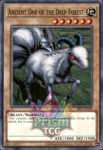 Ancient One of the Deep Forest SRL-EN018 Yugioh - Picture 1 of 1