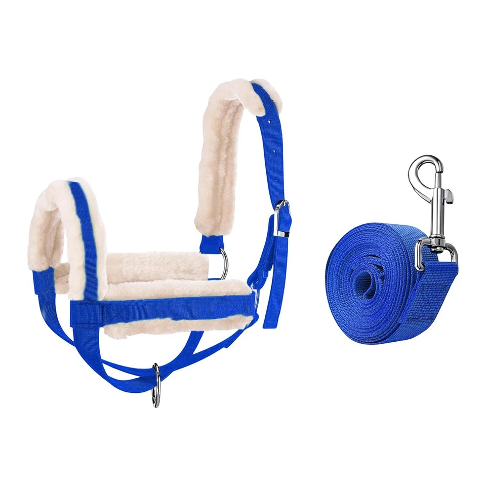 Cabestro de vaca con cuerda de plomo, brida de toro, accesorios, rancho, práctico -/ternero Foto 1 de 1