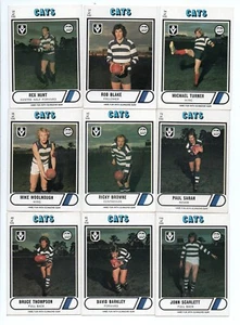 1976 Scanlens FULL Team Set GEELONG 12 Cards - Unmarked CHECKLIST - Picture 1 of 4