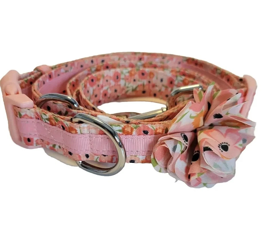 Correa para perro Martha Stewart Pets moda 4' y cuello XXL estampado rosa y floral Foto 1 de 4