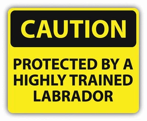 Caution Protected By Trained Labrador Sign Car Bumper Sticker Decal 5" x 4" - Picture 1 of 1