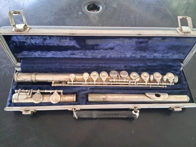 Flauta de artista estuche rígido flauta instrumentos musicales cuerno de viento no plata de ley Foto 1 de 4