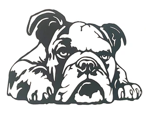 1x English Bulldog Dog Vinyl Sticker Bumper Decal Camper Car Van Window 6.5x4in - Picture 1 of 4