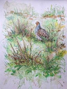 Jagdgemälde ,Jagdmaler, Jagd, Jäger, Rebhuhn, Jagdkunst, Niederwild - Bild 1 von 1