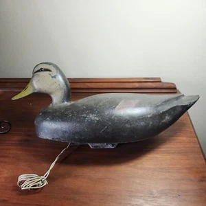 Trendecoy Whitehouse Florida Duck Decoy possibly a Black Duck - Picture 1 of 24