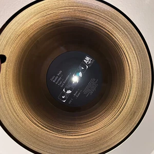 ROSIE VELA - Zazu (Fagen/Becker) (Translucent Vinyl) - 12" Vinyl Record LP - EX - Picture 1 of 4