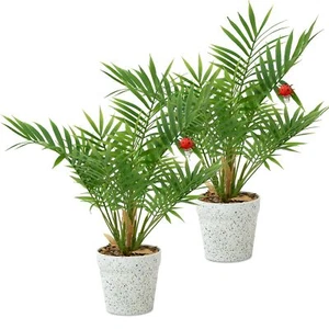2pcs Faux Plants Indoor 17" Small Fake Plants in Matte White Pot. Desk Fake P... - Picture 1 of 6