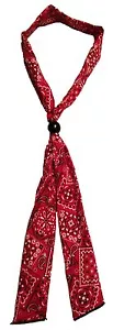 Cloth Arctic Sweat Bandana Neck Cooling Biker Hiker Head Band Comfort Health NEW - Bild 1 von 36