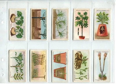 Gardening Hints 1923 Wills Cigarette Cards - Full Set of 50 Cards - Image 1 of 4