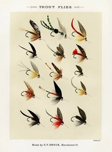 Print or Canvas - Trout Flies by Mary Orvis - Picture 1 of 1