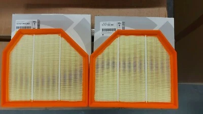 2 X Filtro de Aire Genuino BMW M2 M3 M4 M5 M6 - 13727843283/4 NUEVO Foto 1 de 3