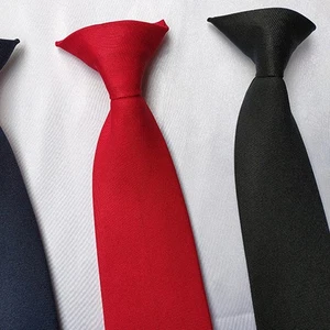 2pcs Clip-on Neckties Office School Uniforms Men's Classic Clothes Neckties - Picture 1 of 12