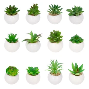 4er Set Künstliche Sukkulenten Pflanzen Mini Topf Faux Fake Indoor & Outdoor Deko - Bild 1 von 4