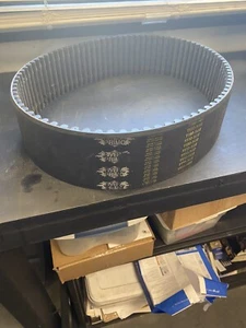 Rivera Primo Primary Belt 1190-14M - Picture 1 of 6