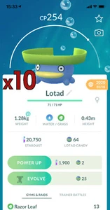 10x Lotad Pokemon Konvolut!! Gute Chance auf Glück und gute IVs!! Go - Bild 1 von 1