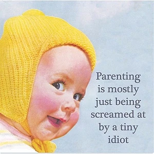 Parenting is mostly just being screamed at funny drink coaster - Picture 1 of 1