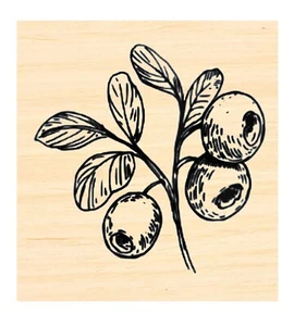 Estampilla de goma de arándanos P137 - Imagen 1 de 1
