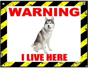 Warning I Live Here - Siberian Husky - Dog - Metal Sign For Indoor or Outdoor - Picture 1 of 1
