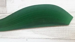 100 Quilling Papierstreifen 3mm breit - flaschengrün - Bild 1 von 1
