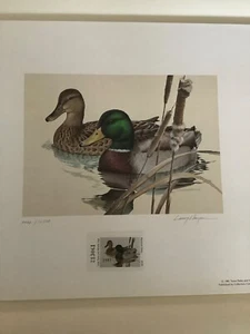 MINT IN FOLIO FIRST OF STATE 1981 TEXAS DUCK STAMP & PRINT LARRY HAYDEN - Picture 1 of 4