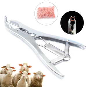 Expansion Zange Edelstahl  Elastrator Kastration Zange mit 100 Gummiring DHL - Bild 1 von 12