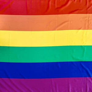 Flagge, Fahne: Regenbogen, LSBTIQ*, Pride, CSD, 150 x 90 cm - Bild 1 von 5
