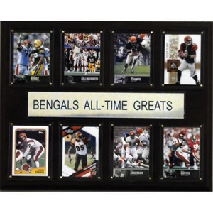 C & I Collectables 1215ATGBEN NFL Cincinnati Bengals All-Time Greats Plaque - Picture 1 of 1