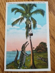 Vintage Postkarte Honig Komm runter und wartet auf dich in Miami Florida Humor - Bild 1 von 2