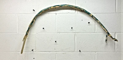 全新 原始设备制造商 GM 右握 后轮 井边 成型 20495107 1982 - 1987 别克 Regal (SR23) — 第 1/4 张图片