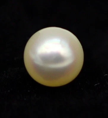 Round 5 x 4 mm Basra Natural Saltwater Pearl Loose Gemstone 0.94 Ct Certified - Image 1 of 4