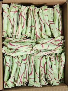 200 BULK Playtex Sport Super Absorb Tampons (Plastic Unscented Tampons) - Picture 1 of 3