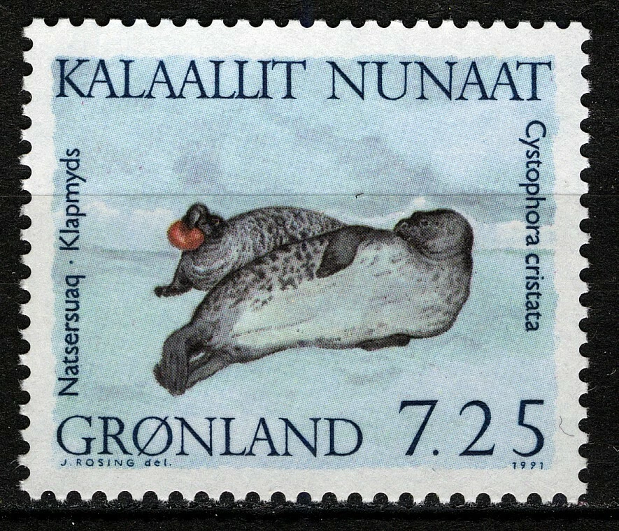 Groenlandia 1991, 7,25Kr Tapa Plegable (Cystophora cristata) MNH, Mi 213 cat 2,5€ Foto 1 de 1