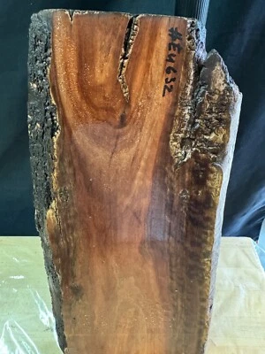 EUCALIPTO RACHADO, ESCULTURA EM MADEIRA, ARTESANATO, CANETAS EM BRANCO, ESCALAS #M625 - Imagem 1 de 4