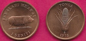 TONGA 1 SENITI 1975 UNC UN MAIALE E SPIGA DI MAIS, SCROFA DESTRA, TAUFA AHAU TUPOU IV,Comm - Foto 1 di 1