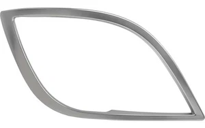 MARCO DE FAROS DERECHO DAF XF106 Parachoques Plata 1922031 - Imagen 1 de 2