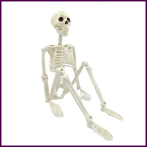 Halloween Deko Skelett, Einweg Skelett in menschlicher Form, Halloween Kunstknochen - Bild 1 von 24
