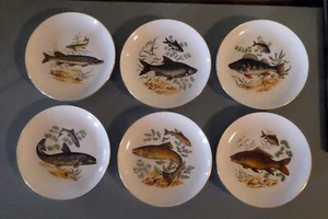 Naaman Israel Runde Porzellan 6 1/2" Fisch Teller 6er Set Brot, Dessert, Salat - Bild 1 von 8