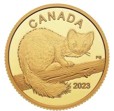 THE CURIOUS MARTEN 2023 CANADA 1/20oz .9999 Pure 24karat Gold Proof $10 Coin - Image 1 of 3