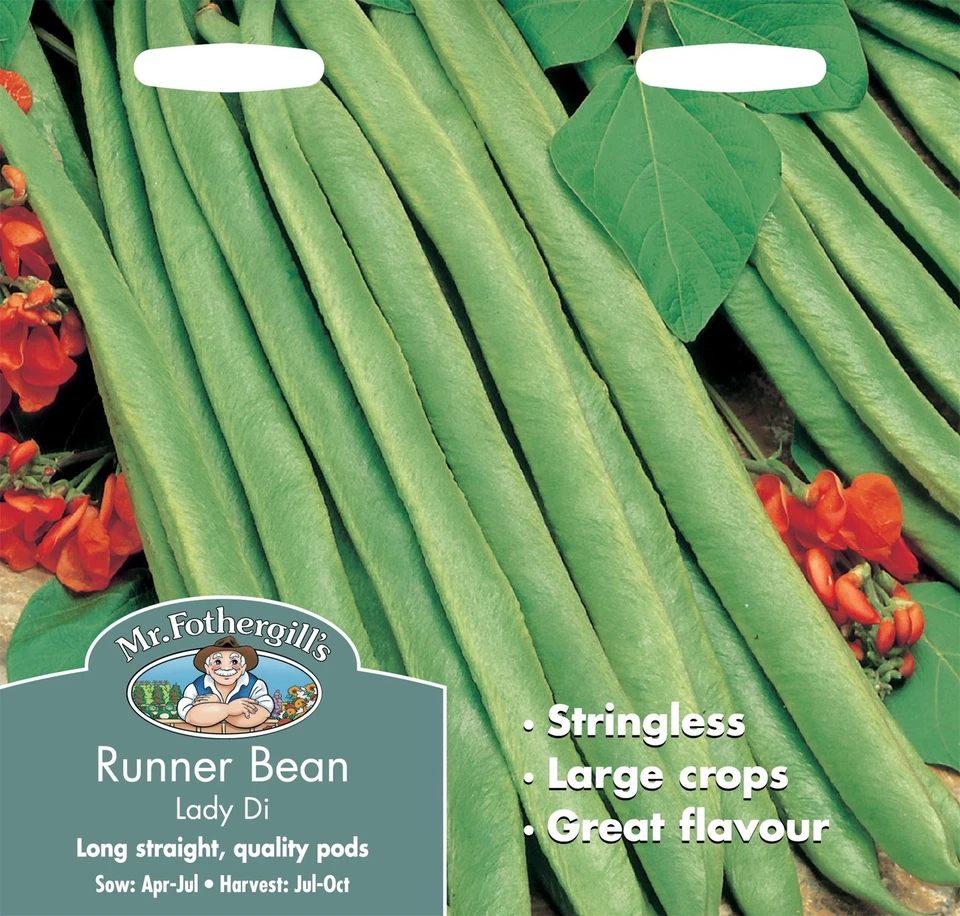Mr Fothergills - Vegetable - Runner Bean Lady Di Stringless  - 45 Seeds - Image 1 of 1