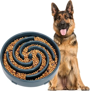 Slow Feeder Dogs Bowl for Large Medium Dogs,Anti-Gulping Pet Slower Food Feeding - Picture 1 of 8