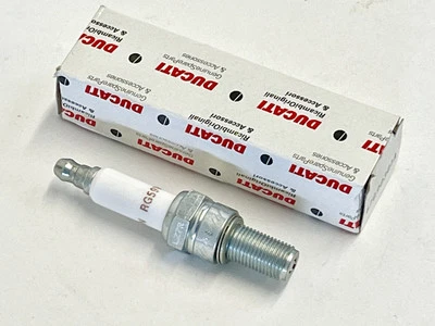 New Genuine Ducati OEM Spark Plug Part Number 66060301A Champion  RG59B - Image 1 of 4