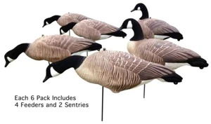 Canada Goose Full Body Decoys - 6 pack canada goose decoys with flocked heads - Picture 1 of 2